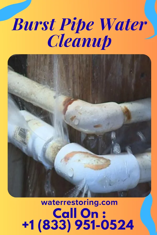 Burst Pipe Water Cleanup in Marion, MI