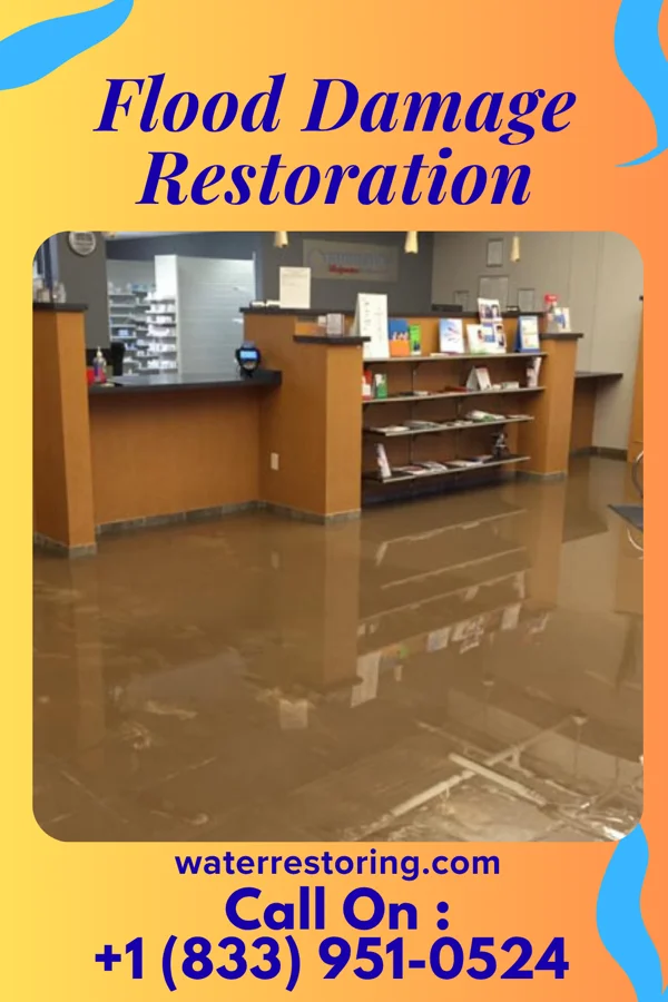 Flood Damage Restoration in Marion, MI