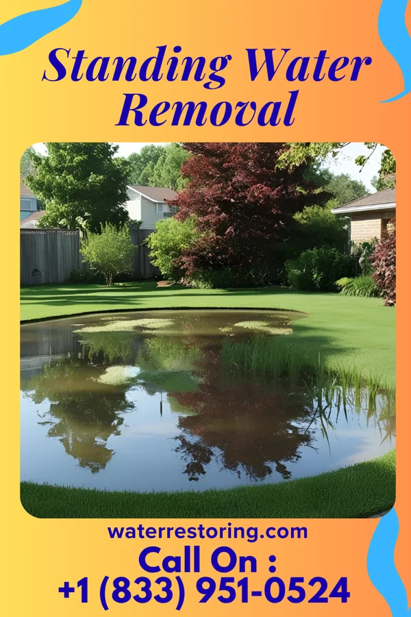 Standing Water Removal in Marion, MI